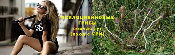 ALPHA-PVP Алексеевка