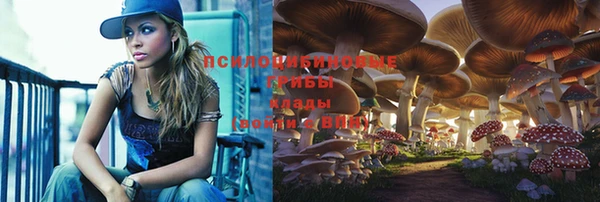 ALPHA-PVP Алексеевка